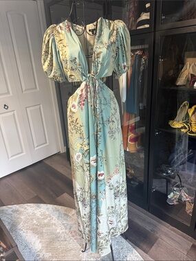 Express Floral Puff-Sleeve Maxi Dress - Sage/mint NWT
